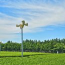 남원읍-84 이미지