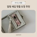 쉽고 예쁜 캘리그라피 | 아기 탯줄도장 만들기 달빛새김 셀프 DIY 후기