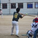 디데이즈