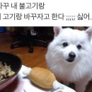 물물교환 네이버블로그