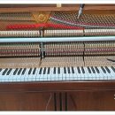 CU푸르지오 이미지