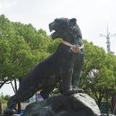 종인가축인공수정소 | 상하이야생동물원 후기1