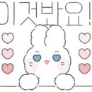 파파게노부산 이미지