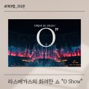 라스베가스 3대 쇼 태양의 서커스 O Show
