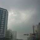 시장고추