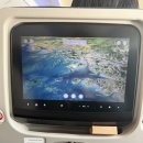 969 | 인천 프라하 직항 대한항공 KE969 좌석 기내식 후기