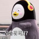 카우스토리 - 57076 | 카우스토리