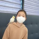 리프패럿울주점앵무새체험관 | 경기 광주 아이와 가볼 만한 곳:) 청석공원 이색 앵무새 카페/ 리프패럿 체험관 이용후기!!