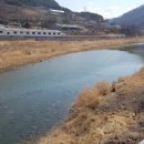 정선매운탕 이미지