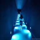 더제리스플래닛 호텔 | [일본 도쿄] 팀랩플래닛 도쿄 입장권 가격 예약 할인 위치 준비물