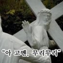 주식회사 하야 이미지