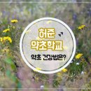 약초활용 생활건강법 이미지