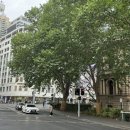 말이 술술 나오는 여행 영어 이미지