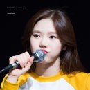족장 이미지
