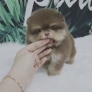 만남-행복한꿈 이미지