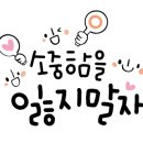 미미랜드 이미지