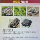 보길도 쉼표