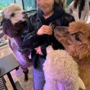 흥덕4로 16번길5 | 인천동물원 테이블에이 앤 우쥬, 인천송도가볼만한곳 실내 동물체험 후기