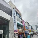 카페샤르망 - 예천군 지보로 255 | 대전 키티카페 샤르망 후기