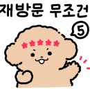 늘솔길애견미용실 네이버블로그