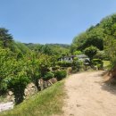 외동농원 이미지