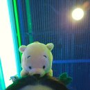 엄마를 모.시.고 상해를 다녀왔어요 모녀여행 ＜상편＞ 이미지