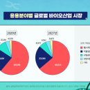제약 바이오 관련주. SK바이오팜 / 씨엔알리서치 / 유한양행 / 엘앤씨바이오 / 보로노이 / 일동제약...