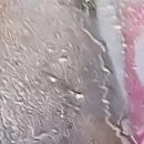 월드손세차장 이미지