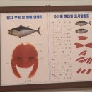 동신참치양재