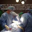 사천축협동물병원 | 경남 사천시 동물병원 방문자 리뷰 인기순위 TOP 5