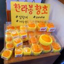 문빵글 | [제주도 여행] 서귀포 올레 시장 방문기 / 먹거리 - 문어빵(문빵9), 땅콩 만두, 귤하르방