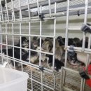 청계유통 이미지