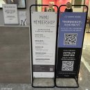 개와고양이 | <마리 로랑생 회고전, 무지개 위의 춤> 마이아트뮤지엄 삼성역 얼리버드 전시후기
