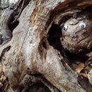 플라이미술학원 이미지