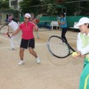 살구골서광·성지·동아·진덕 이미지