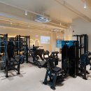 동탄호수 1:1 PT shop 트레이너 모집 이미지