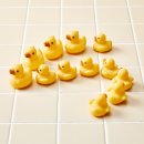 동동하우스 이미지