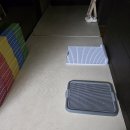 강아지 꼬야 | 강아지 배변 판, 배변패드 없이 키운 후기 (냄새 해결)