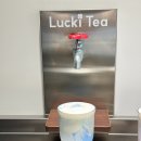 협동조합 성북신나 | 성신여대입구역 카페 가성비 좋은 홍콩식 밀크티 프룻티 버블티 맛집 러키비티 러키티