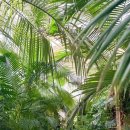 535 | [경기/파주] 식물원인줄 알았던 대형 카페 ‘문지리 535’ 방문후기