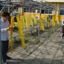 치자로 물들이기 이미지