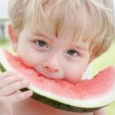 풀향기어린이집 이미지