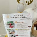 김해 진영읍 속눈썹펌 더빛날 뷰티 내돈내산 후기