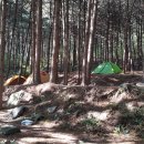 우산리입구 Daum카페