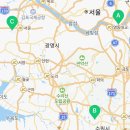 컴투펫 강아지분양 고양이분양 인천본점 이미지