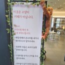 고양이와 힐링되는 브런치 타임, 바이올렛 커피 앤 브런치&amp;이색소품 방문 후기