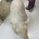 마리앤쥬 | [서면 놀거리] 서면 마리앤쥬 방문 솔직 후기 및 정보ㅣ데이트 코스 추천 (내돈내산)