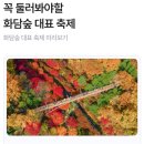 화담채