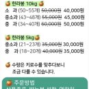 집나간왕새우바람난조개연동점