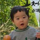 백이산 농장 네이버블로그
